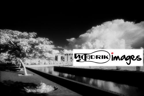1745771692172779050514_parliament infra red.jpg